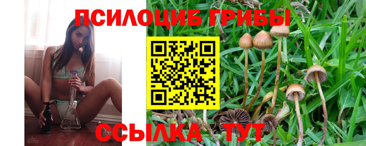 Псилоцибиновые грибы мухоморы  Вход с VPN  Мирный 