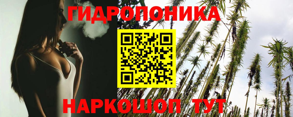 Каннабис Amnesia Мирный